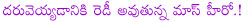 raviteja latest movie details,raviteja and showryam shiva combo movie details,raviteja latest movie title daruvu,tapsi pairing with raviteja in daruvu